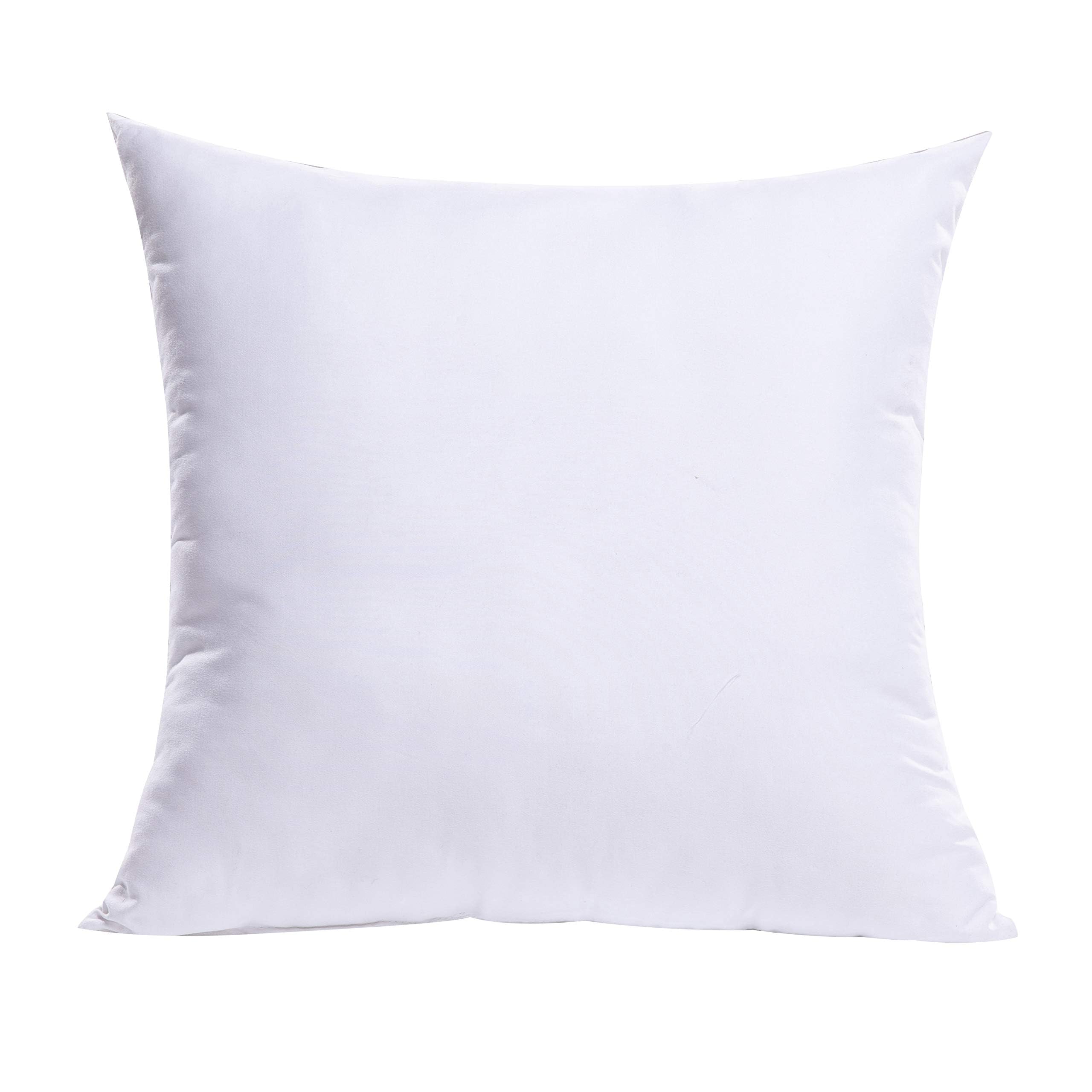 MIULEE Throw Pillow Insert Premium Pillow Stuffer Sham Rectangle for Decorative Cushion Bed Couch Sofa 12x20 Inch