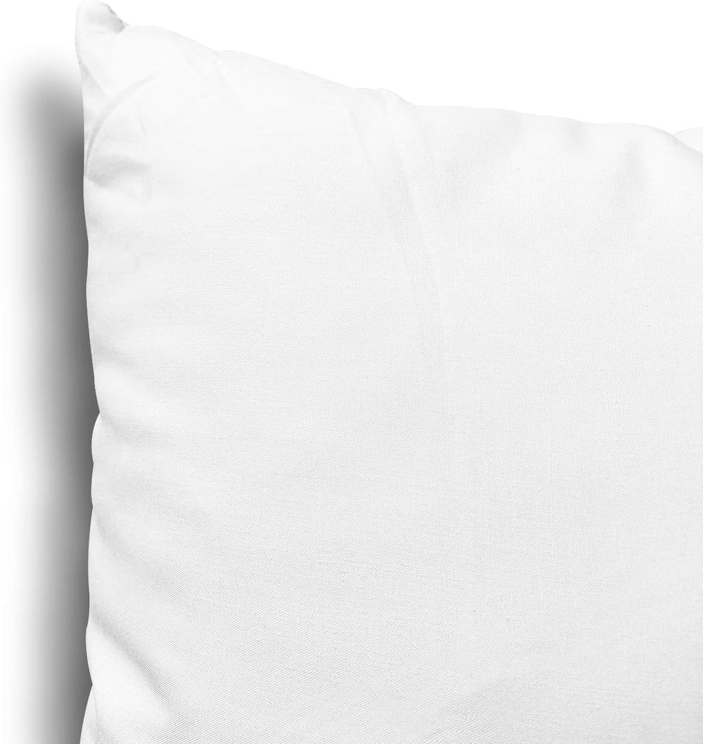 EDOW Throw Pillow Insert, Lightweight Soft Polyester Down Alternative Decorative Pillow, Sham Stuffer, Machine Washable. (White, 18x18)