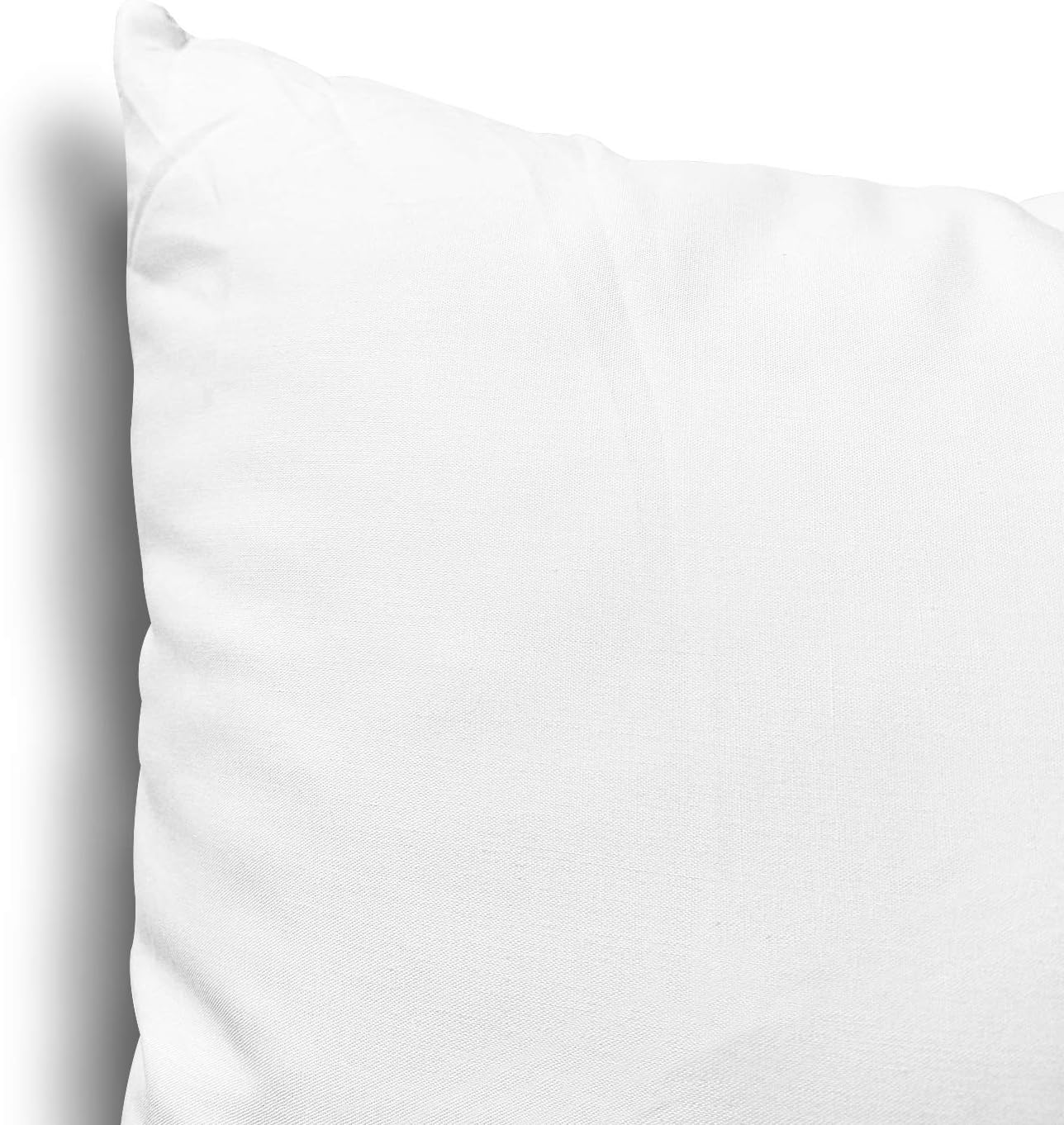 EDOW Throw Pillow Insert, Lightweight Soft Polyester Down Alternative Decorative Pillow, Sham Stuffer, Machine Washable. (White, 18x18)