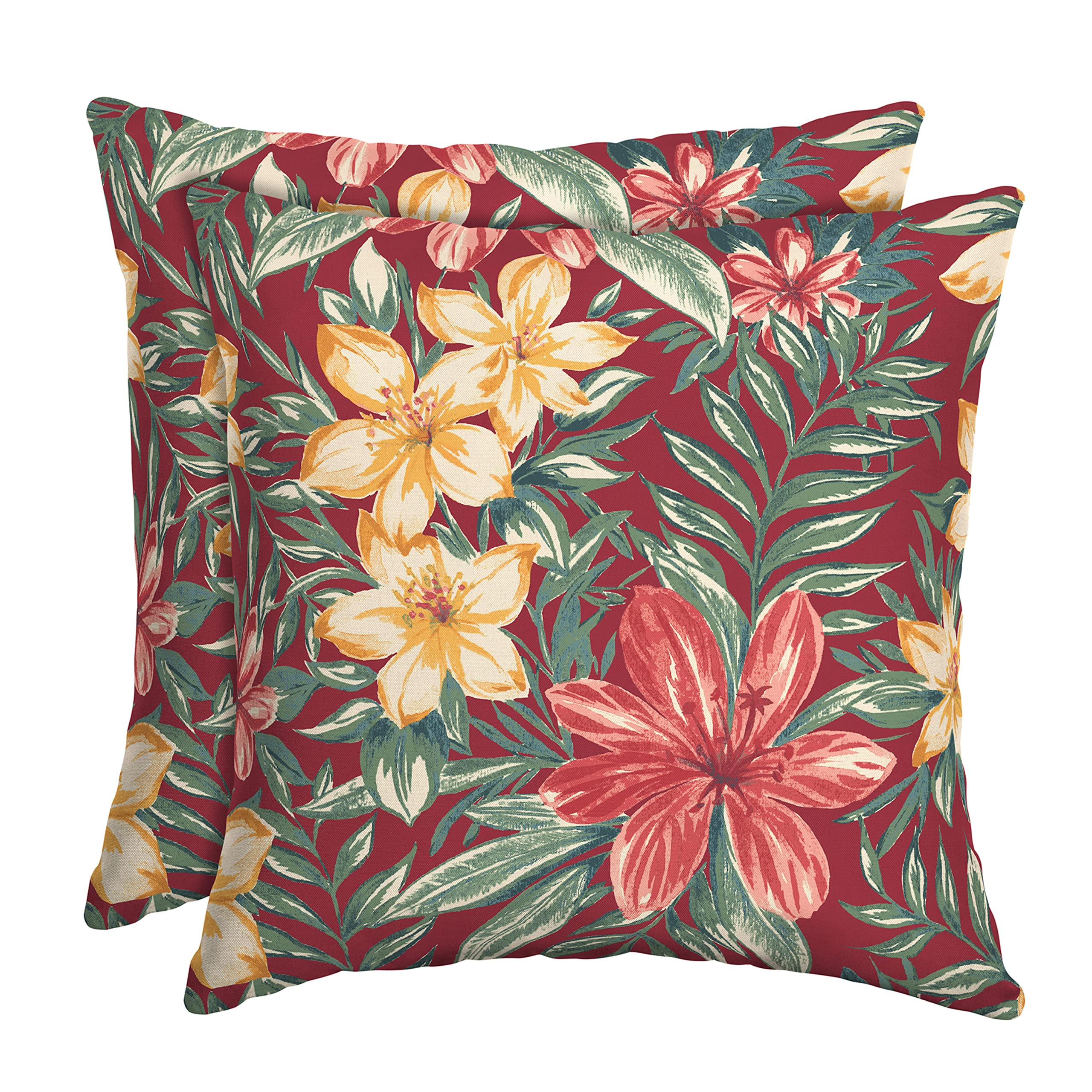 Arden Outdoor Toss Pillow, 2 Pack, 16 x 16, Rain-Proof, Fade Resistant Pistachio Botanical